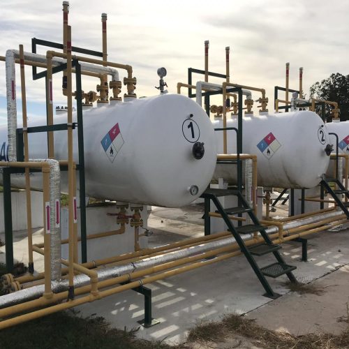Planta-Ferre-GLP-4-1
